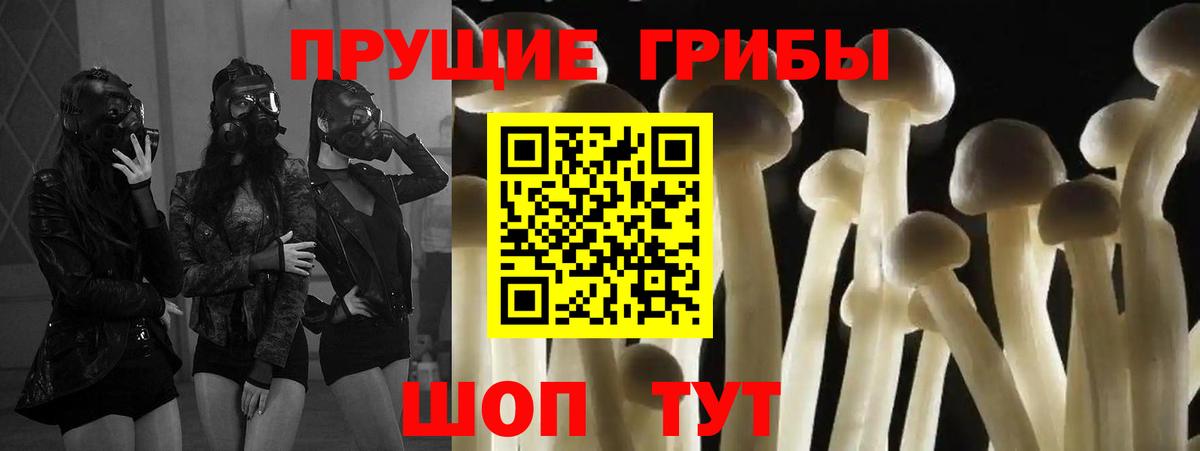 наркошоп  Псилоцибиновые грибы MAGIC MUSHROOMS  Псилоцибиновые грибы мицелий  Вход с VPN  Кудымкар 